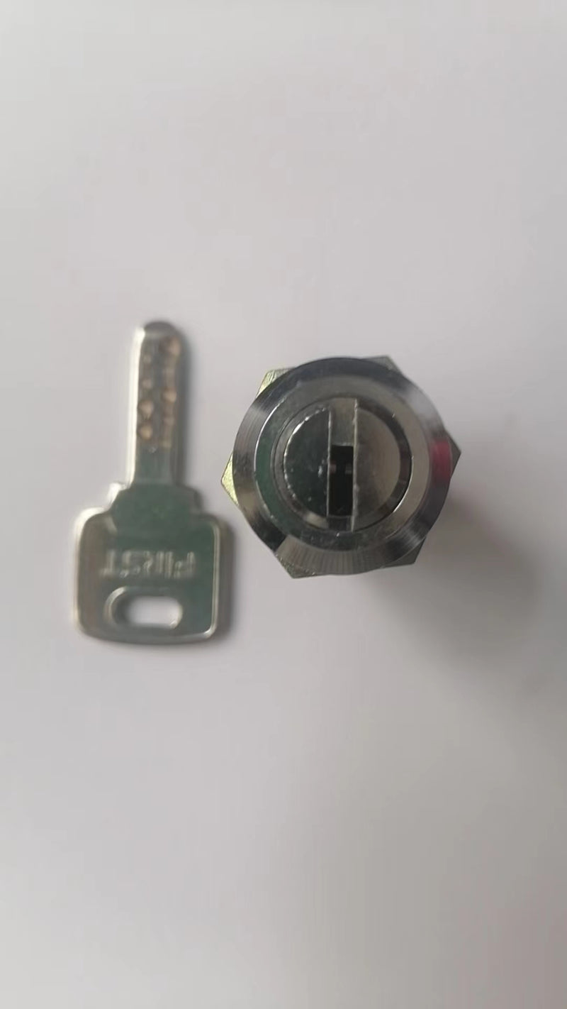 new and  original First lock wity key. (use to vewlix control panel )
