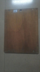 SEGA BLAST CITY FEDEX JAMMA BOARD'S WOOD.(HOT-0101)