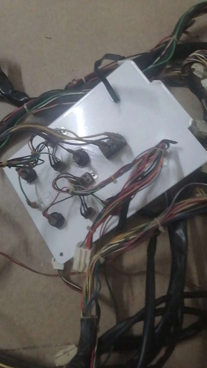 FULL TIME CRISIS 4 Wiring harness w/ Test & Service Panel