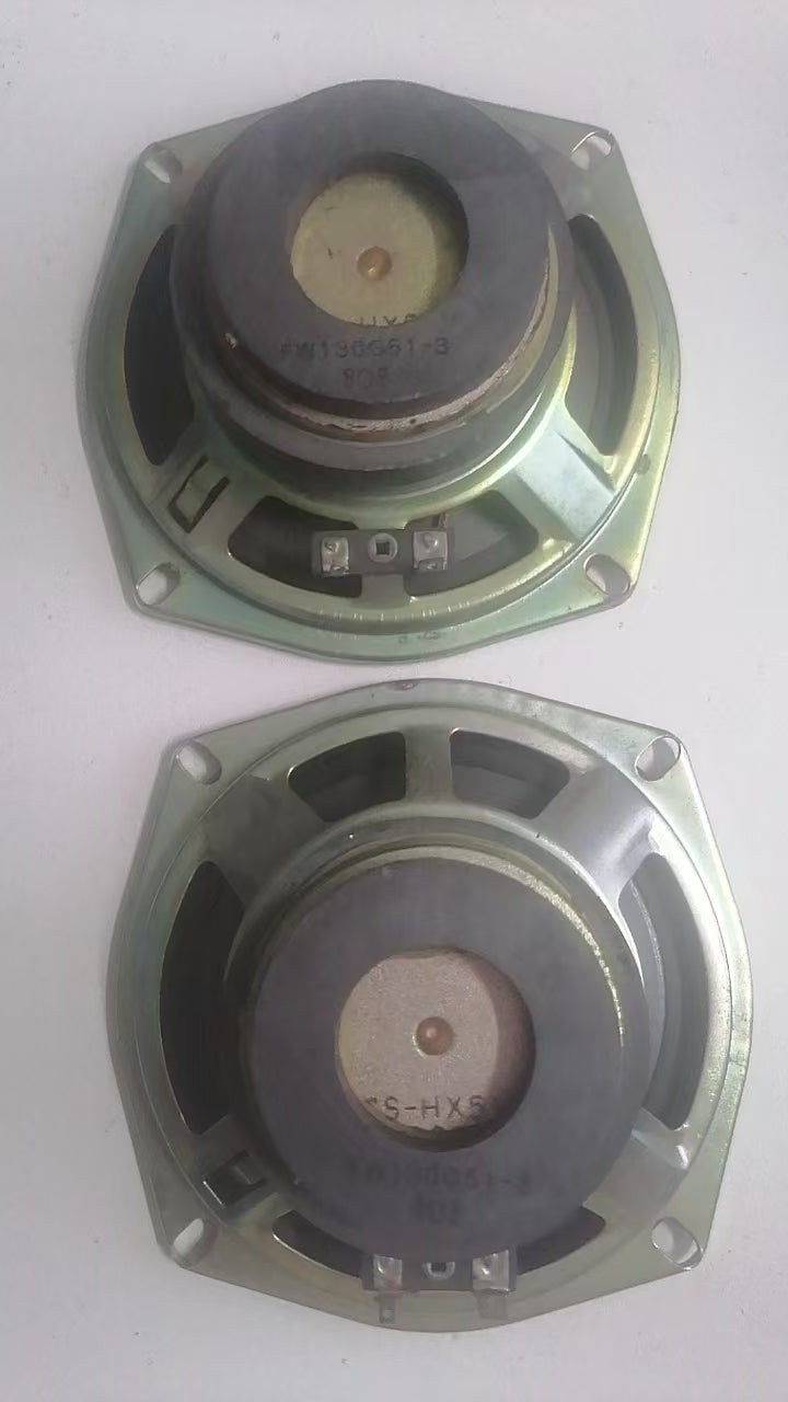 A pair ARCADE 5"  speakers  working