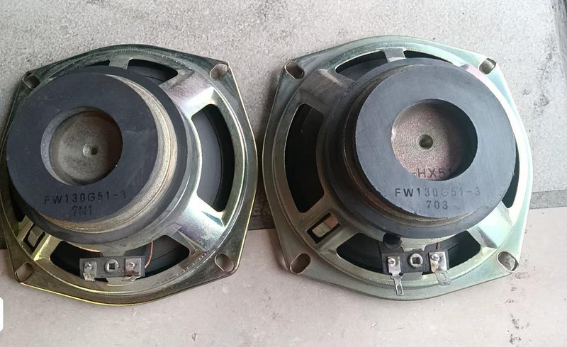 A pair ARCADE  speakers AW130G51-3 working